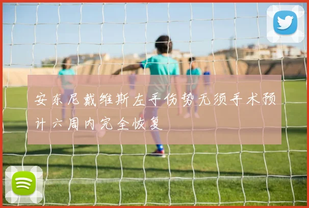 安东尼戴维斯左手伤势无须手术预计六周内完全恢复